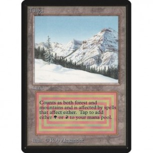 Taiga