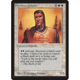 Northern Paladin