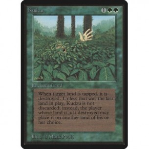Kudzu