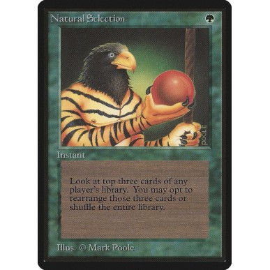Natural Selection