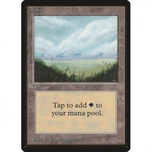 Plains