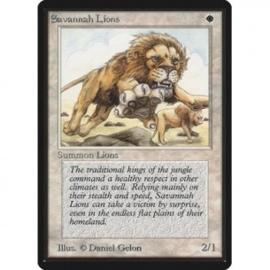 Savannah Lions