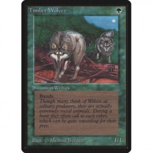 Timber Wolves