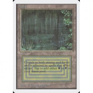 Bayou