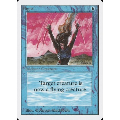 Flight