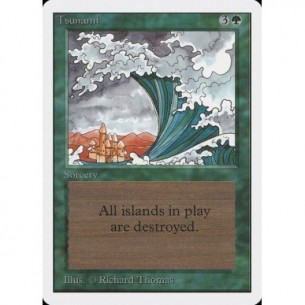 Tsunami