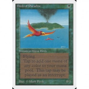 Birds of Paradise