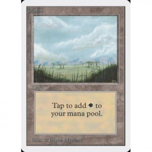 Plains