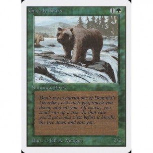 Grizzly Bears
