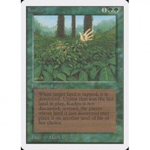 Kudzu