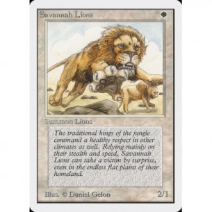 Savannah Lions
