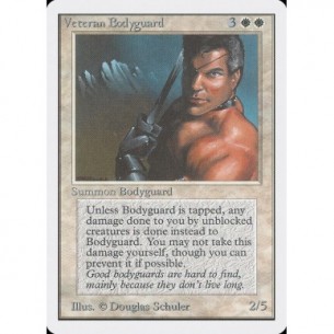 Veteran Bodyguard