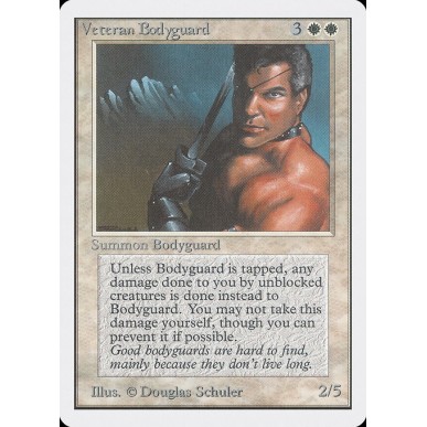 Veteran Bodyguard