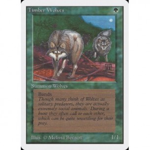 Timber Wolves