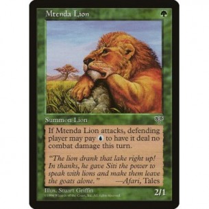 Mtenda Lion