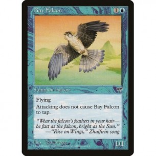 Falco della Baia