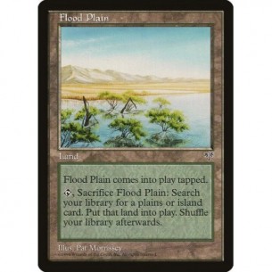 Pianura Alluvionale