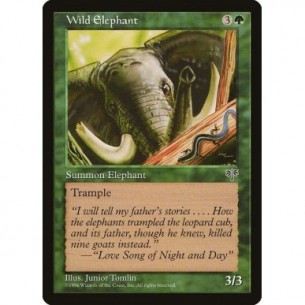 Elefante Selvaggio