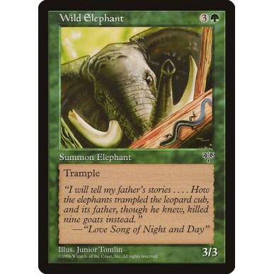 Elefante Selvaggio