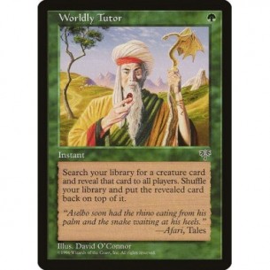 Worldly Tutor