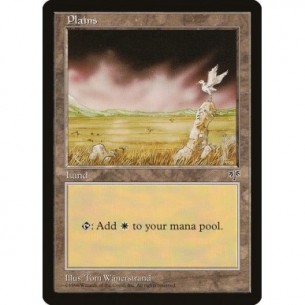 Plains