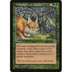 Waiting in the Weeds