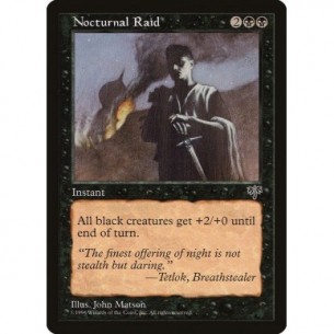 Nocturnal Raid