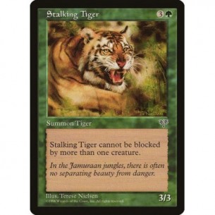 Stalking Tiger