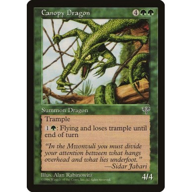 Canopy Dragon