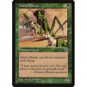 Mantide Gigante