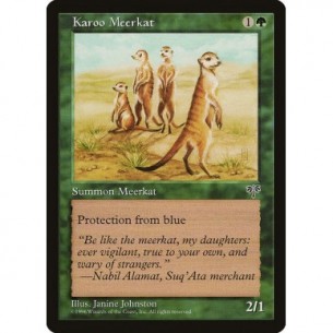 Meerkat Karoo