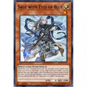 Saggio con gli Occhi di Blu