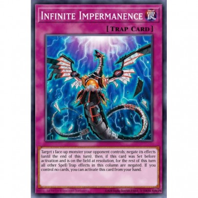 Impermanenza Infinita