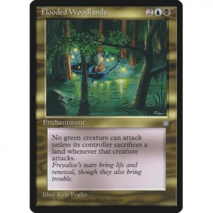 Flooded Woodlands