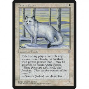 Arctic Foxes