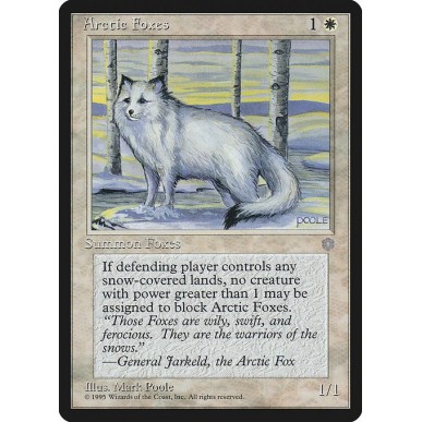 Arctic Foxes
