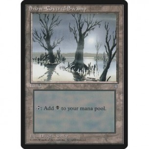 Snow-Covered Swamp