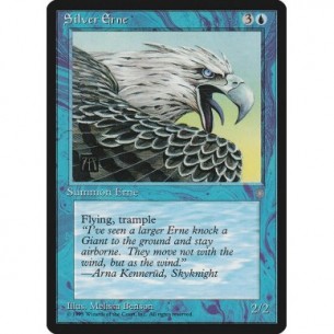 Silver Erne