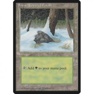 Snow-Covered Forest