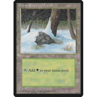 Snow-Covered Forest