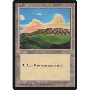 Plains