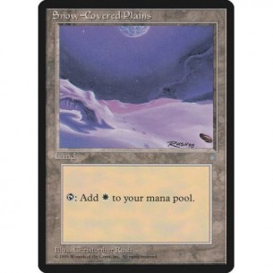 Snow-Covered Plains