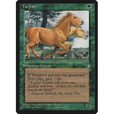 Tarpan