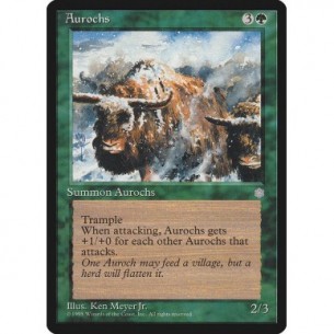Aurochs