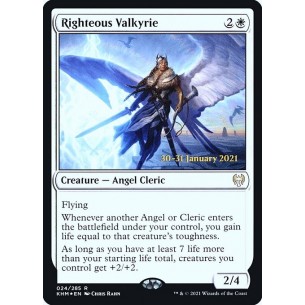 Righteous Valkyrie