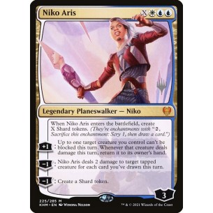 Niko Aris