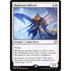 Righteous Valkyrie