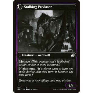 Shady Traveler // Stalking... 2