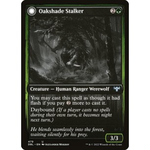 Oakshade Stalker // Moonlit...