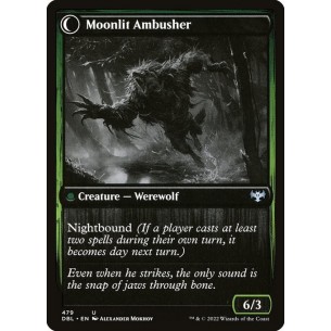 Oakshade Stalker // Moonlit... 2